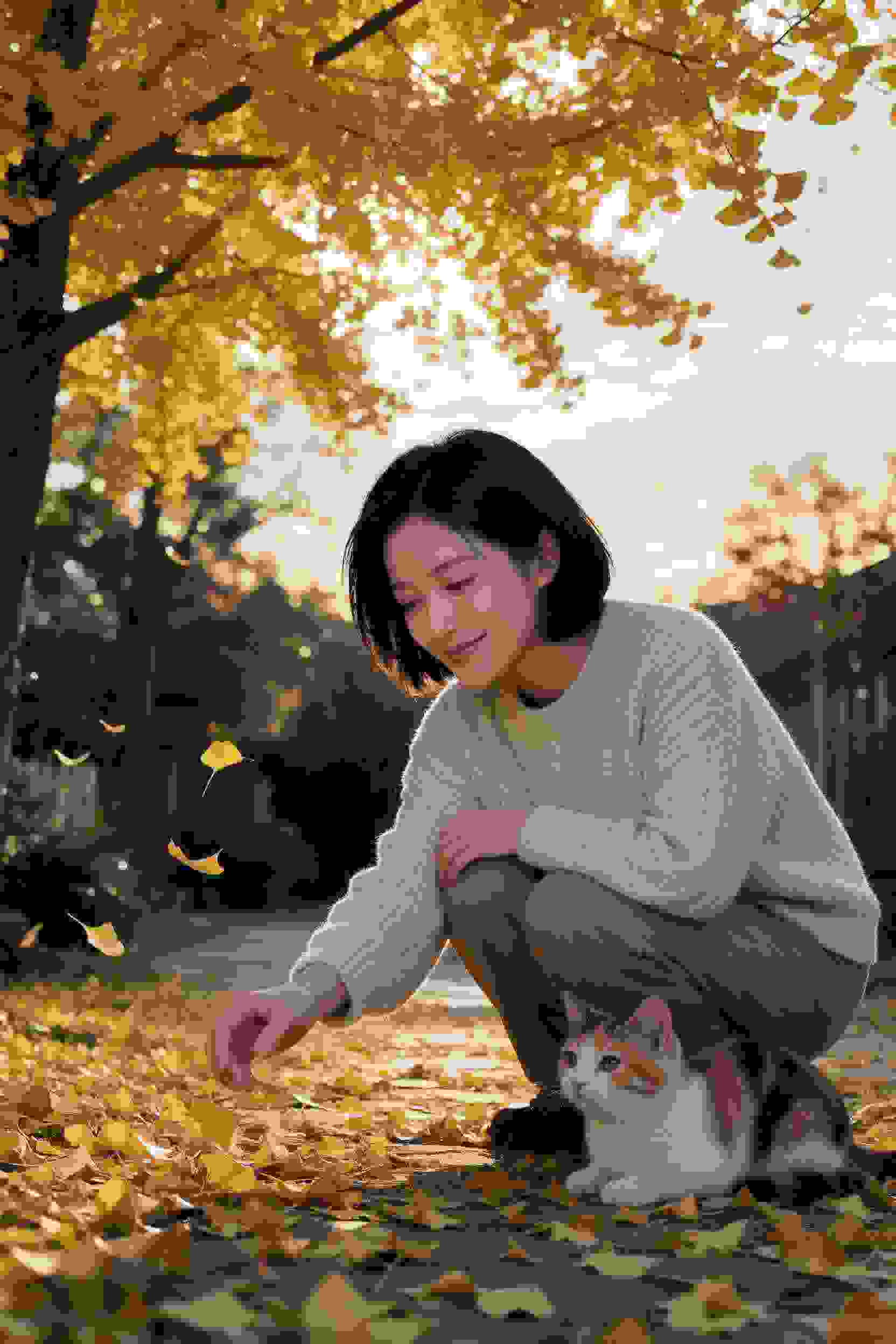 冒险剧